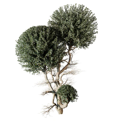 tree vol 17 — Ver 1