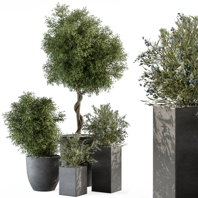 Outdoor Plant Set 273 - Plant Set in Concrete Pot — Descargar