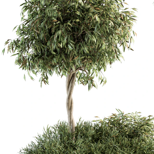 Outdoor Plant Set 172 - Plant Box tree — Скачать