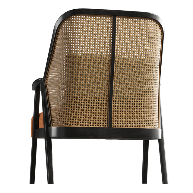 Roche Bobois Weg armchair — Скачать