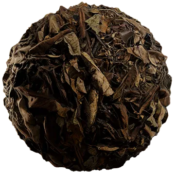 fallen leaves 017 — Descargar