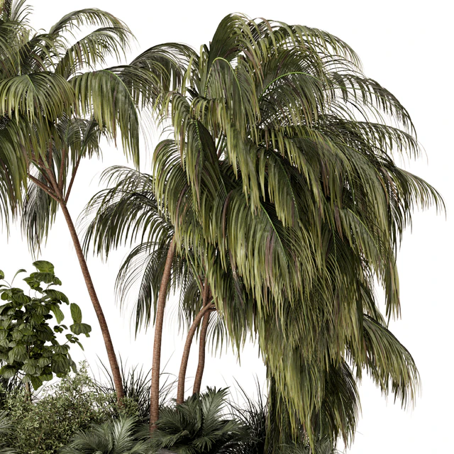 Outdoor Garden set bush and Tree - Garden Set 649 — Descargar