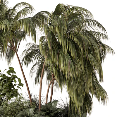 Outdoor Garden set bush and Tree - Garden Set 649 — Ver 5