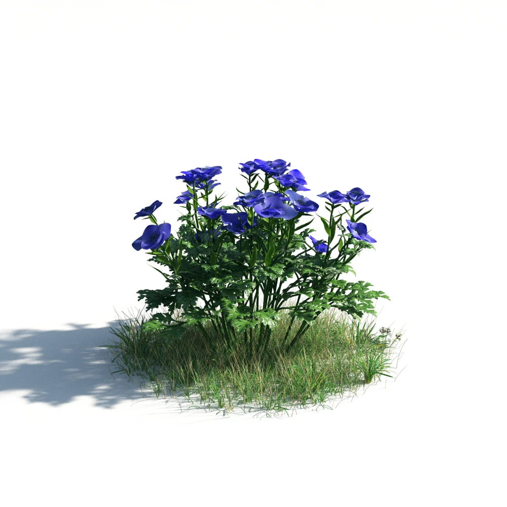 005 — Скачать