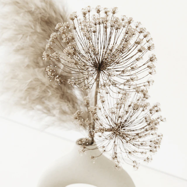 Dry Composition — Descargar