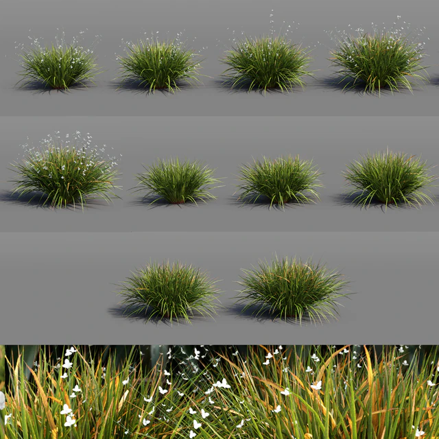 Libertia Grandiflora - 10 Modular Pieces — Descargar