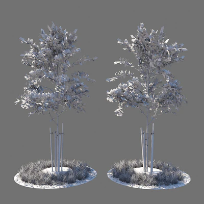 Young tree 04 — Ver 2