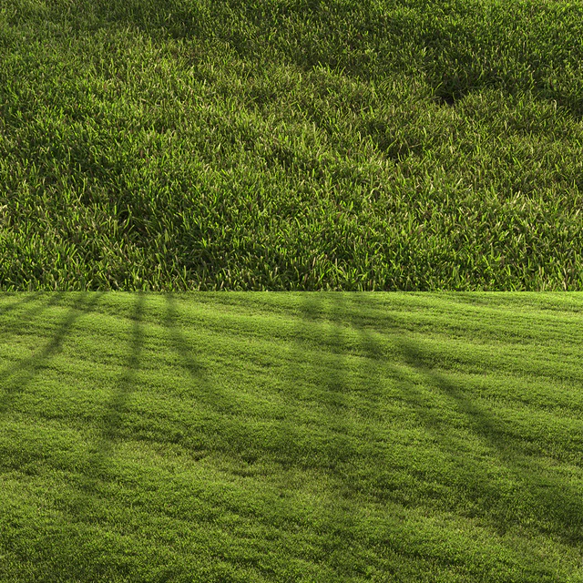 Lawn landscape — Скачать