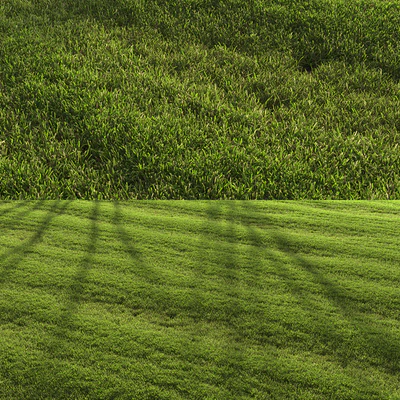 Lawn landscape — Вид 5
