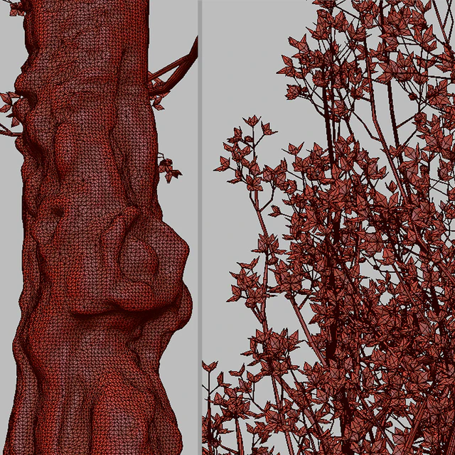 Set of Flowering Cornus mas Trees (Cornelian cherry) (2 Trees) — Descargar