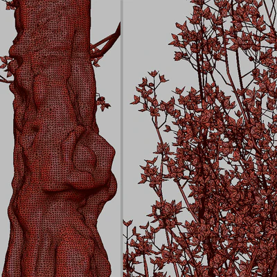 Set of Flowering Cornus mas Trees (Cornelian cherry) (2 Trees) — Ver 3