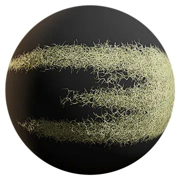 spanish moss 006 — Descargar