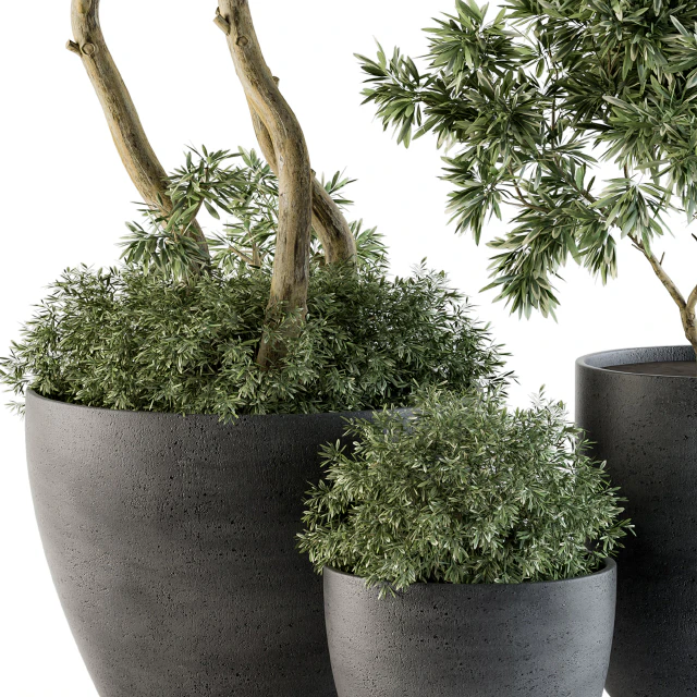 Outdoor Plants Tree in pot - Set 90 — Скачать
