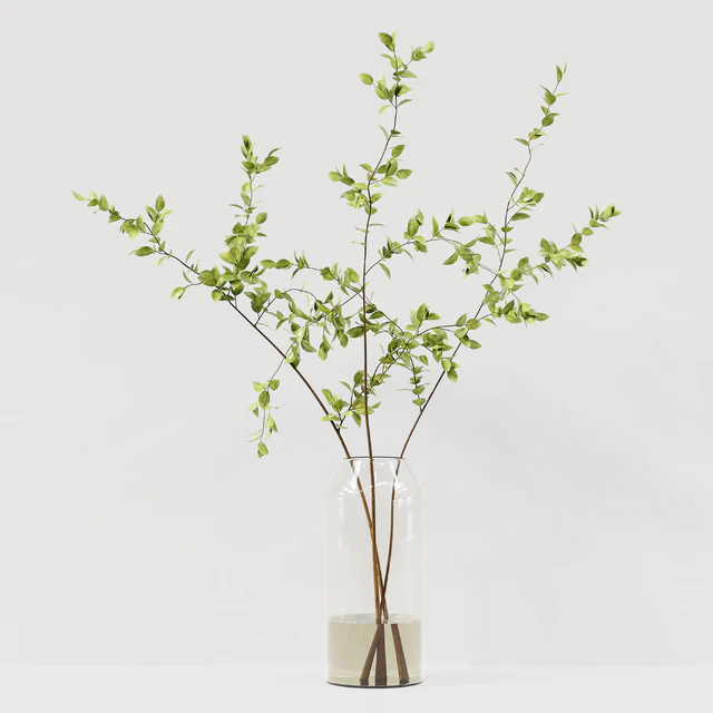 Collaction Indoor Plants 022 — Скачать