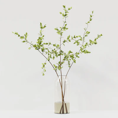 Collaction Indoor Plants 022 — Вид 6