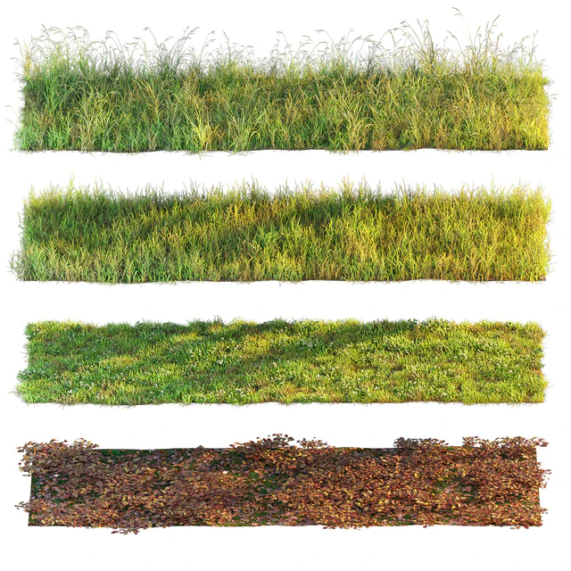 Set of grass and leaves. — Descargar