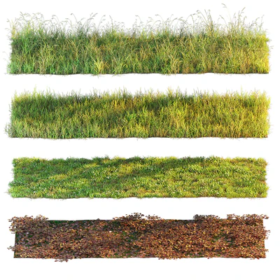 Set of grass and leaves. — Ver 1