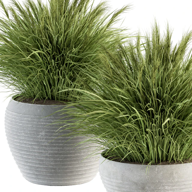 Outdoor Plant Set 196 - Green Grass in Pot — Descargar