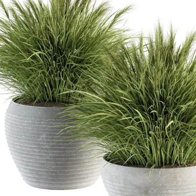 Outdoor Plant Set 196 - Green Grass in Pot — Ver 4