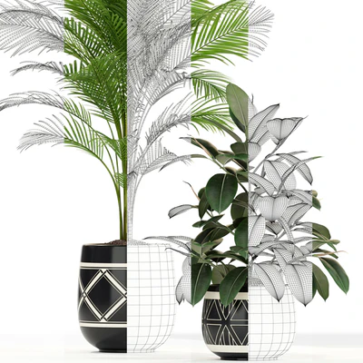 Plants collection 181 — Ver 3