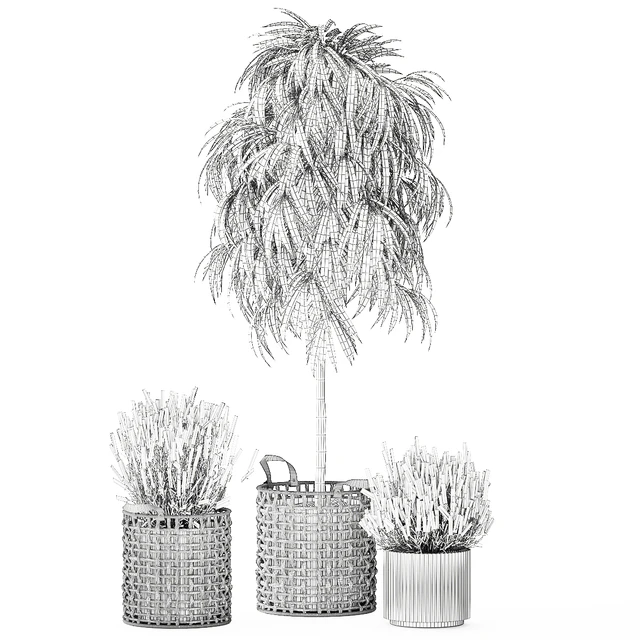 A collection of plants in modern wicker white baskets pots with a small ficus Ali tree, flowers and lavender bushes. Set 1358. — Descargar