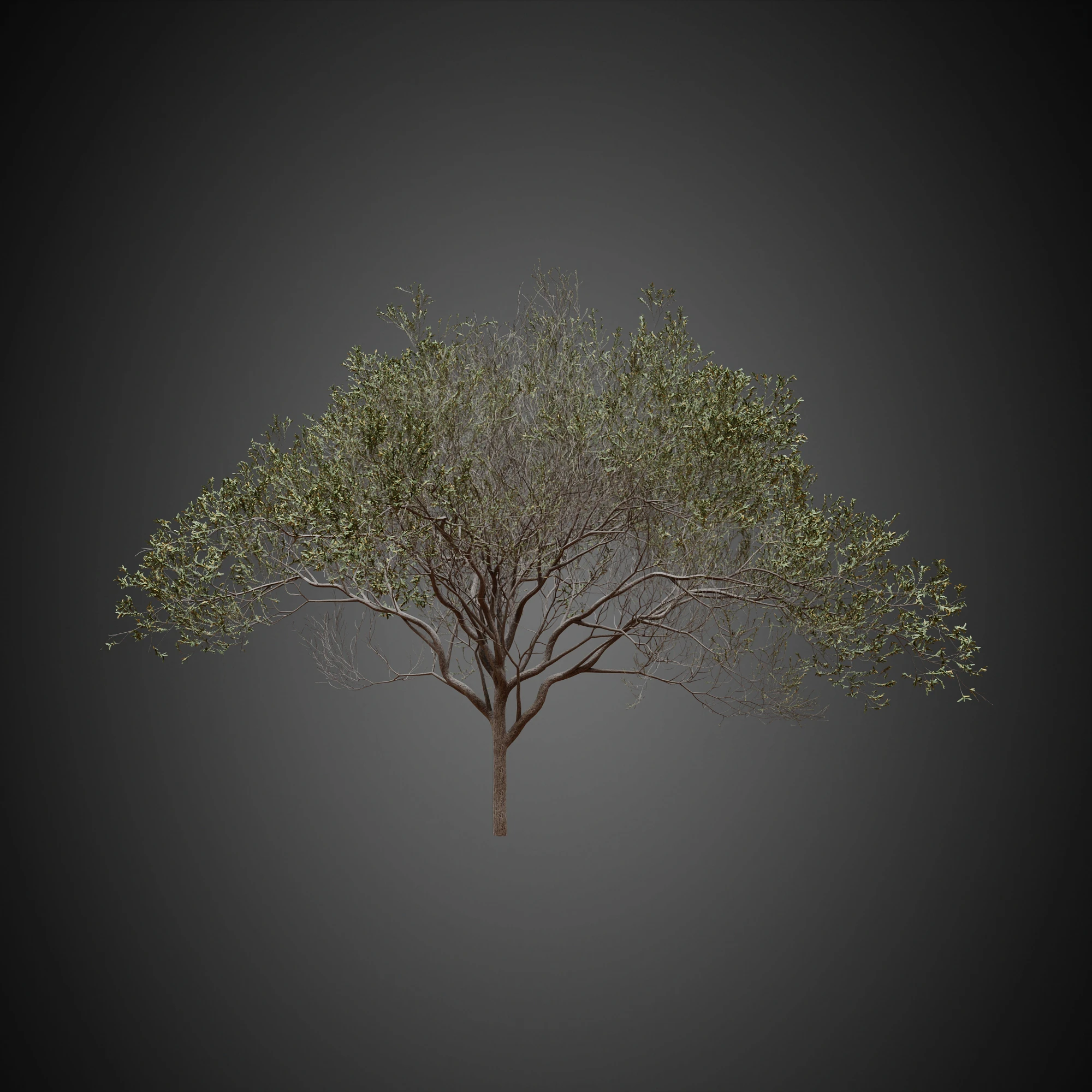 008 — Скачать