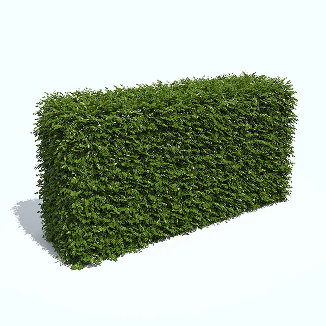 Regular hedges — Descargar