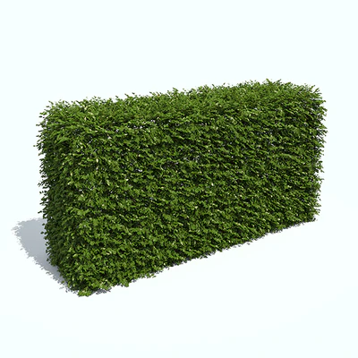 Regular hedges — Ver 1