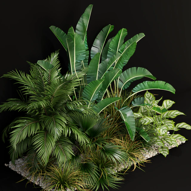 Plants collection 237 — Descargar