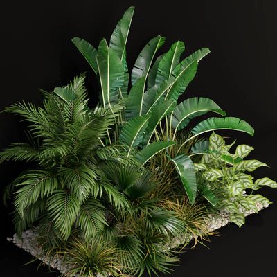 Plants collection 237 — Ver 4