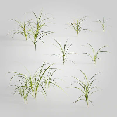 plants and weeds 012 — Descargar