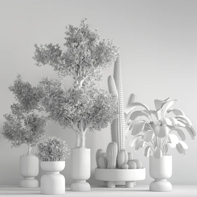 indoor plant set21 — Вид 3