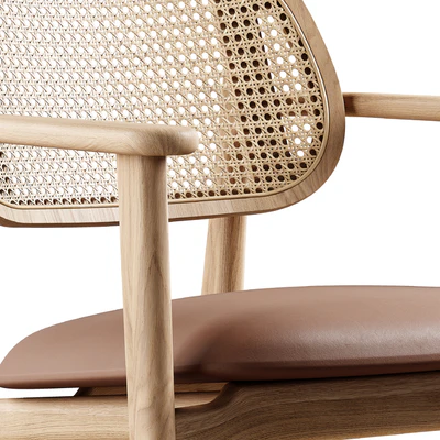 Vincent Sheppard - Titus lounge chair — Вид 4