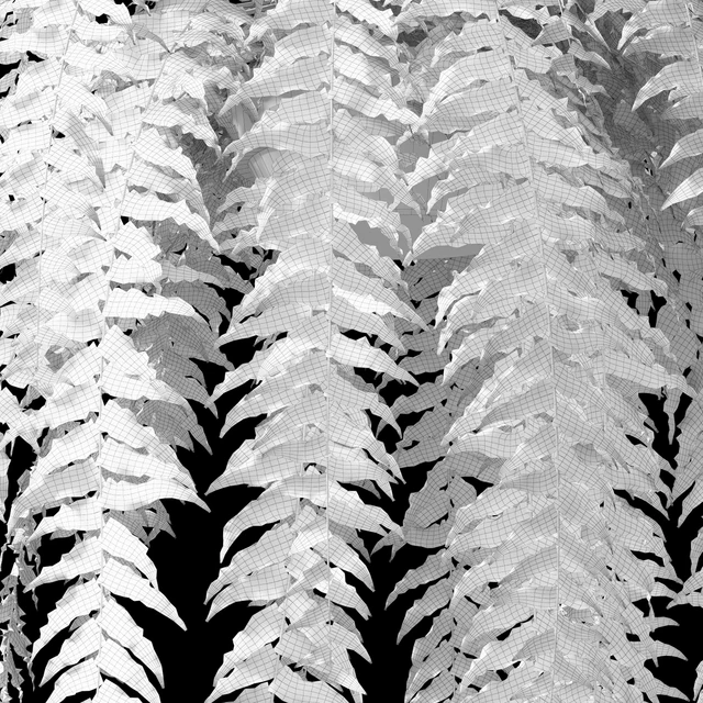 Hanging fern — Descargar
