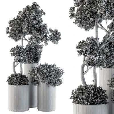 Outdoor Plants tree in Metal Pot - Set 102 — Вид 3