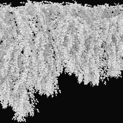 Hanging Plant 24 — View 3