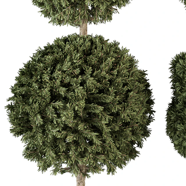 Topiary shape Bush - Bush Set 65 — Скачать
