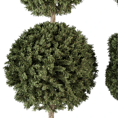 Topiary shape Bush - Bush Set 65 — Вид 3