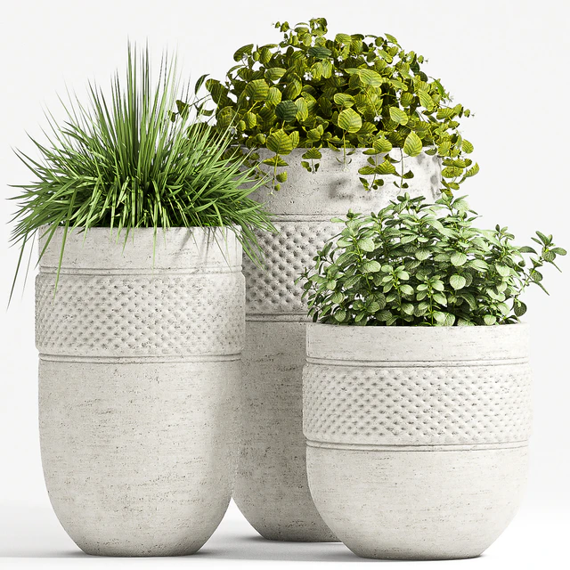 PLANT SET - 67 — Скачать