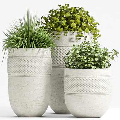 PLANT SET - 67 — Вид 1