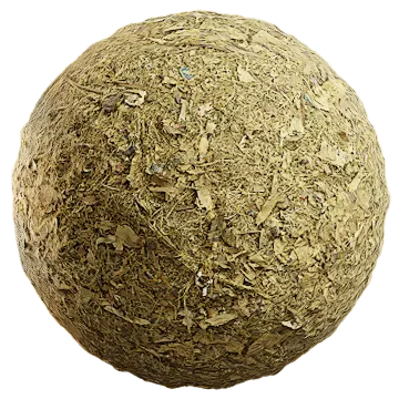 grass dried 053 — Descargar