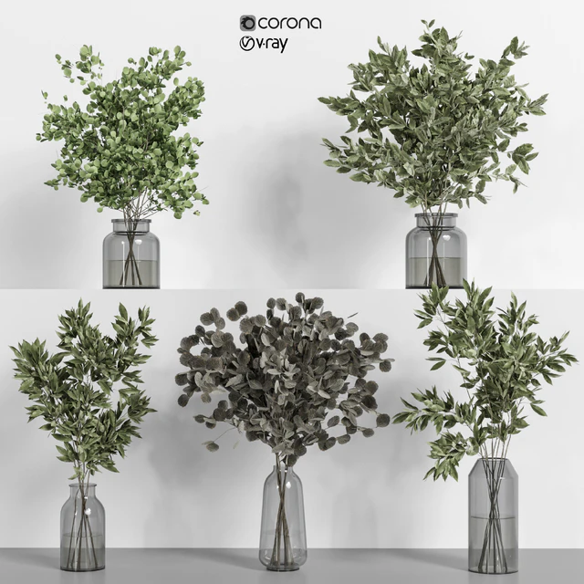 collection of indoor plants Vol04 — Скачать