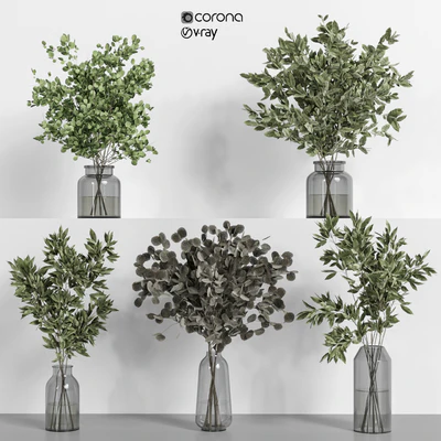 collection of indoor plants Vol04 — Вид 5