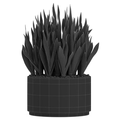 Plants collection 507 — Ver 3