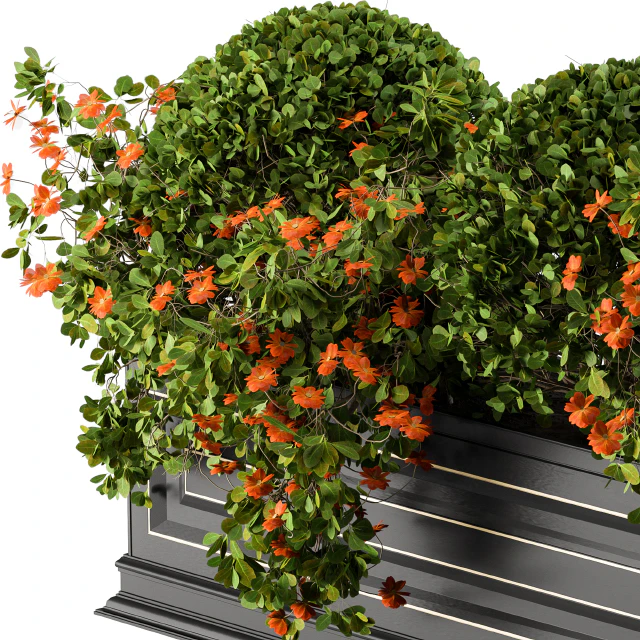 Planter Box For Windows Classic — Descargar