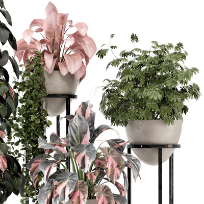 Indoor Plants in rusty Concrete Pot on Metal Shelf - Set 964 — Ver 3