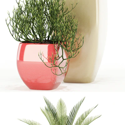 Plants collection 101 Awesomeplanters — Вид 2