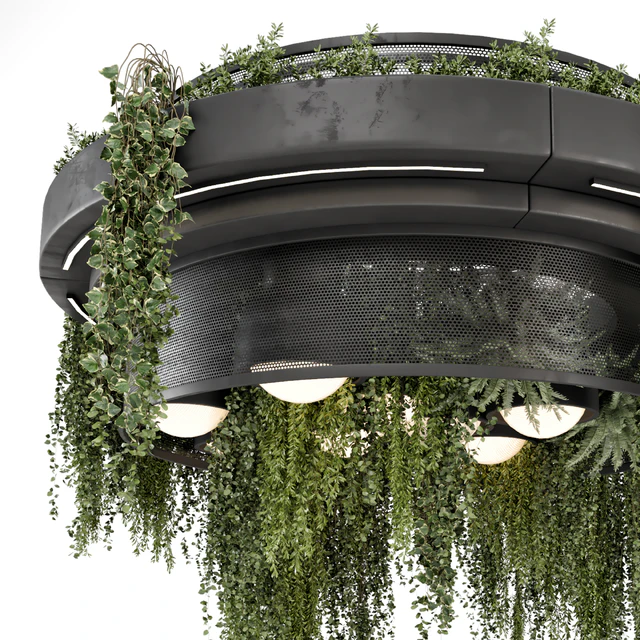 Indoor Hanging Plants in Metal Box - Set 1506 — Descargar