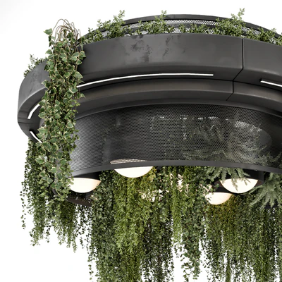 Indoor Hanging Plants in Metal Box - Set 1506 — Ver 3