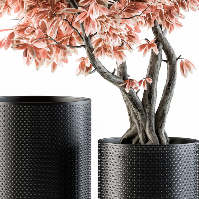 Bouquet Set 17 - Pink Bonsai — Descargar